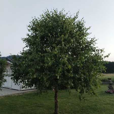 Forrest - Private Jacuzzi & Sauna * Ravna Gora