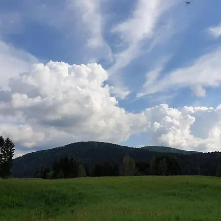Forrest - Private Jacuzzi & Sauna Appartement