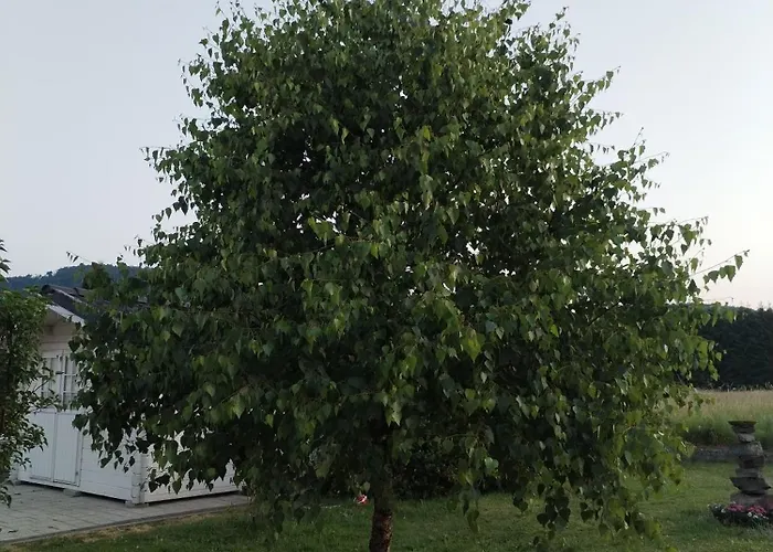 Forrest - Private Jacuzzi & Sauna * Ravna Gora